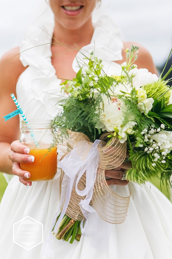 EllarGallagher Wedding Mount Holly, VA at Bushfield Manor Don Mears